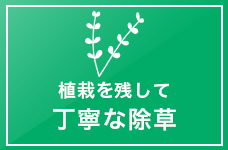 植栽を残して 丁寧な除草